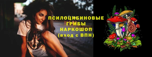 мяу мяу мука Белокуриха
