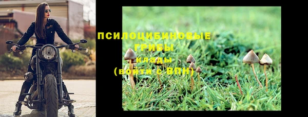 амф Белоозёрский